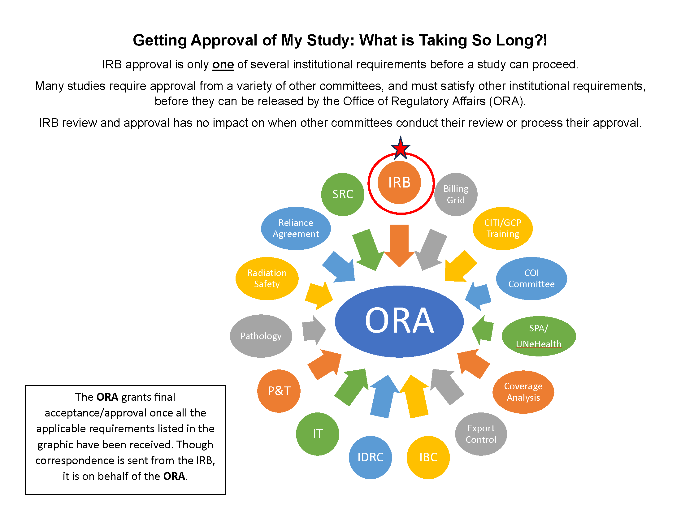 Study Approval - IRB vs ORA.png