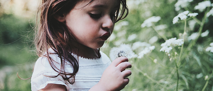 young girl with brown hair, wearing white shirt and holding dandelion; greenery background; credit Caroline Hernandez from Unsplash