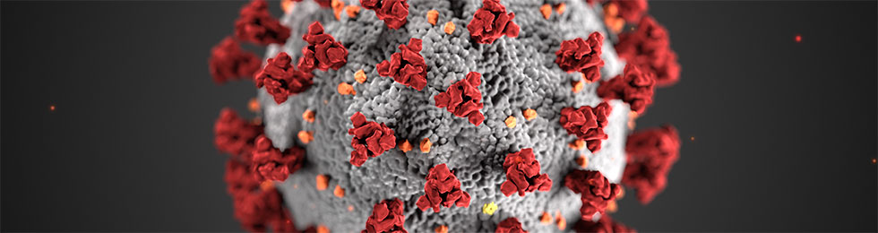 COVID-19 virus rendering