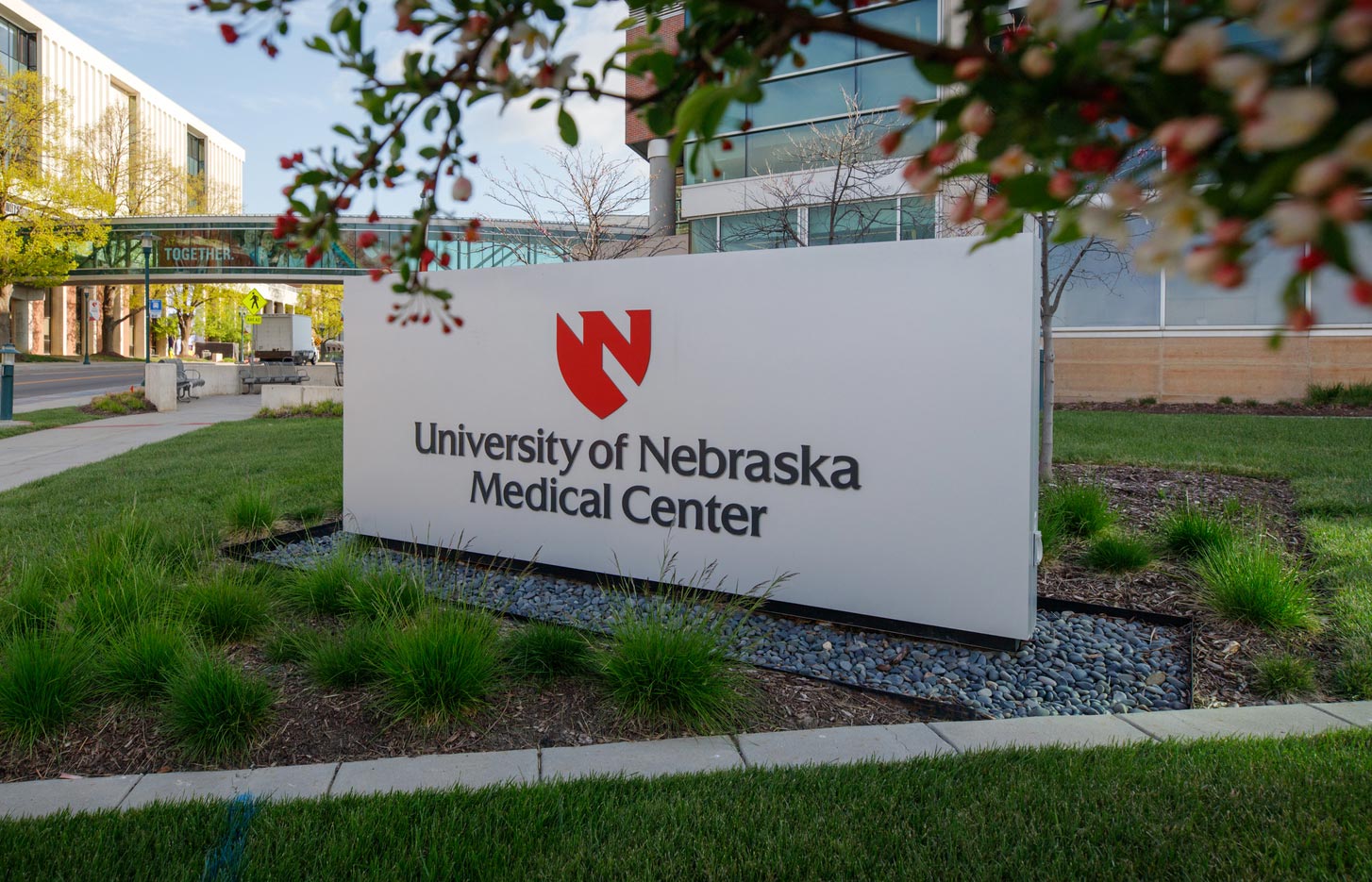 summer research program unmc