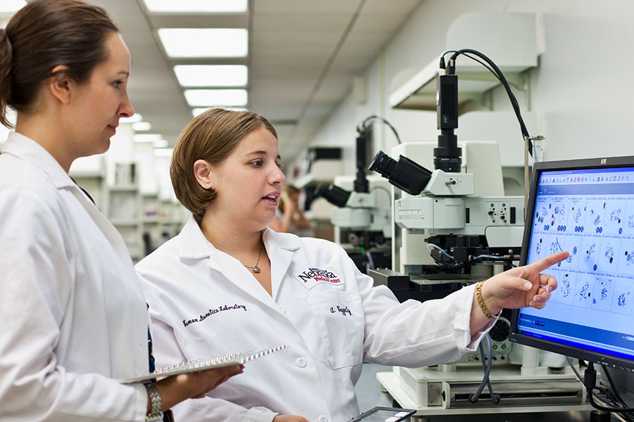 Two researchers looking at a computer screen