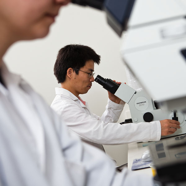 Postdoc doing research at a microscope