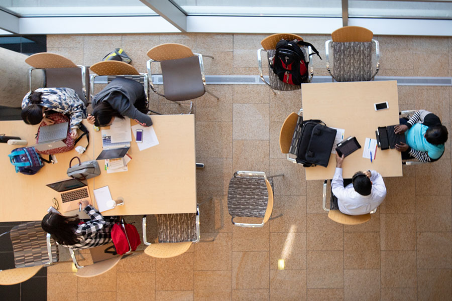 Students studying in common area