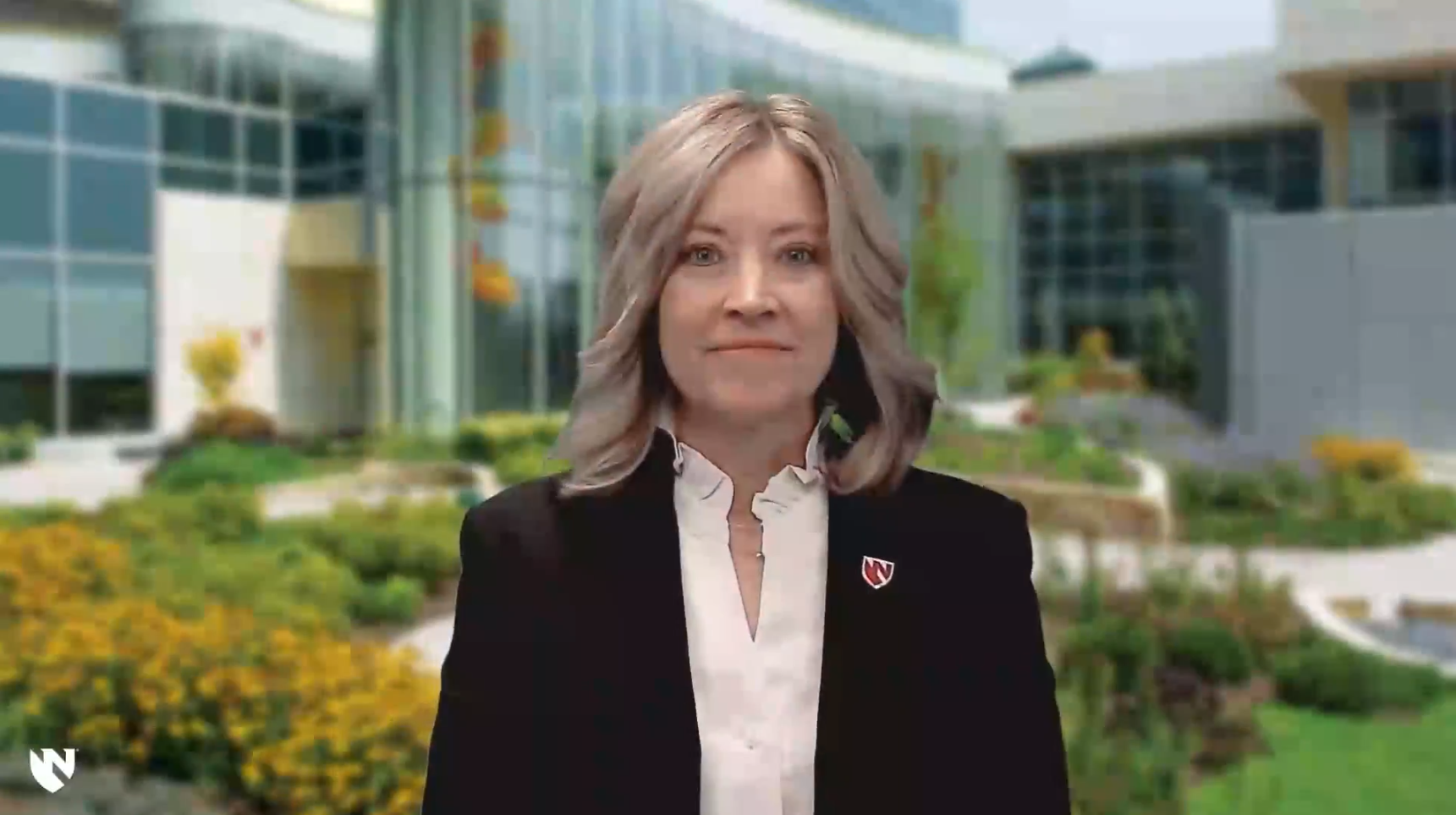 Screenshot from the Director's overview of IAE video