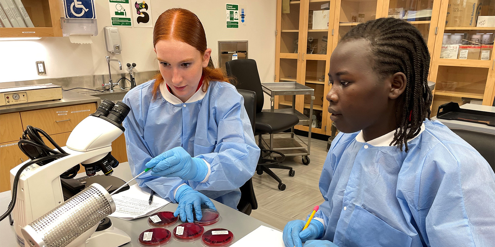 Student identifying a disease in a laboratory 