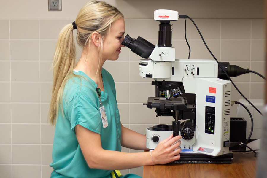 cytologist at a microscope