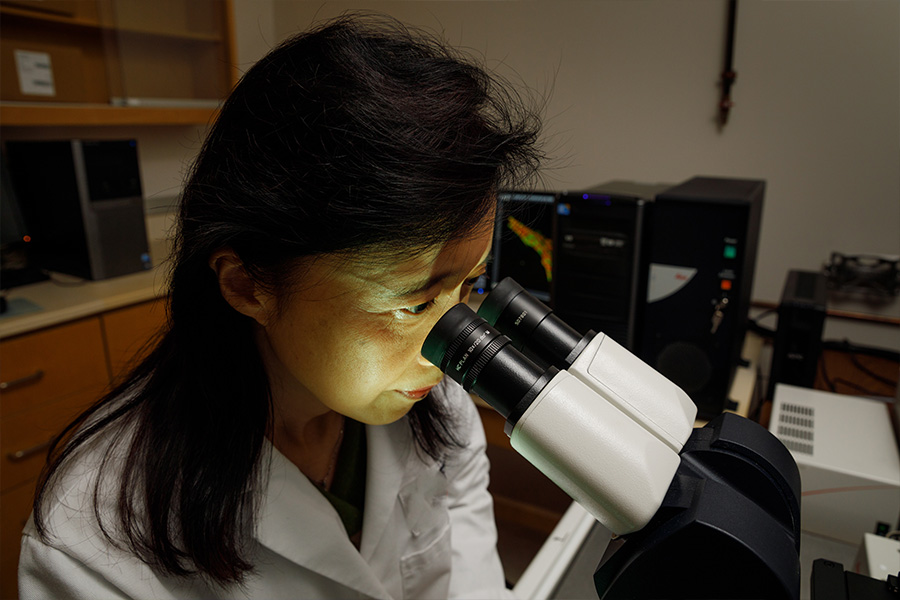 Research team member working in lab
