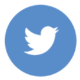 Twitter button