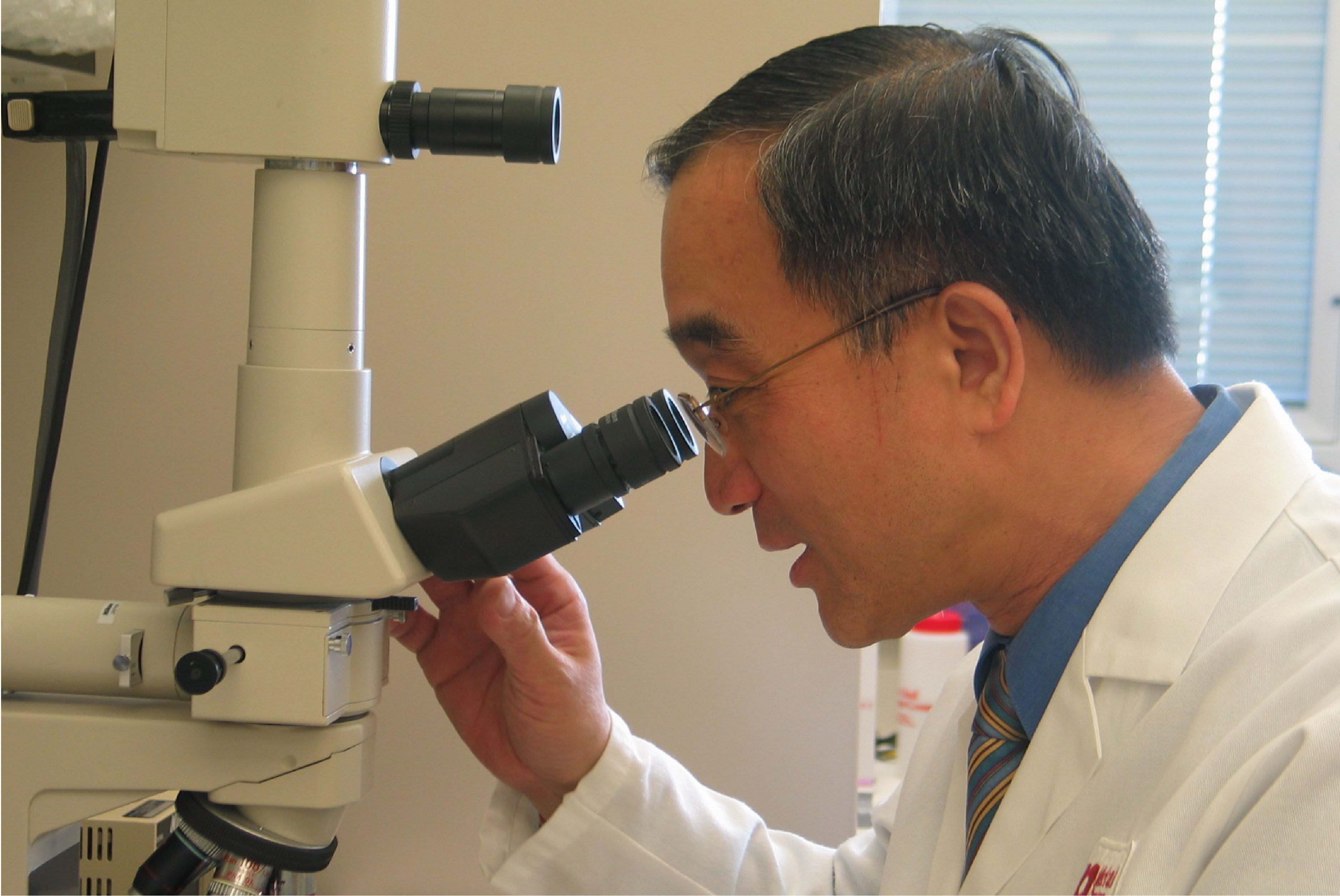 Dr. Lin looks through a microscope