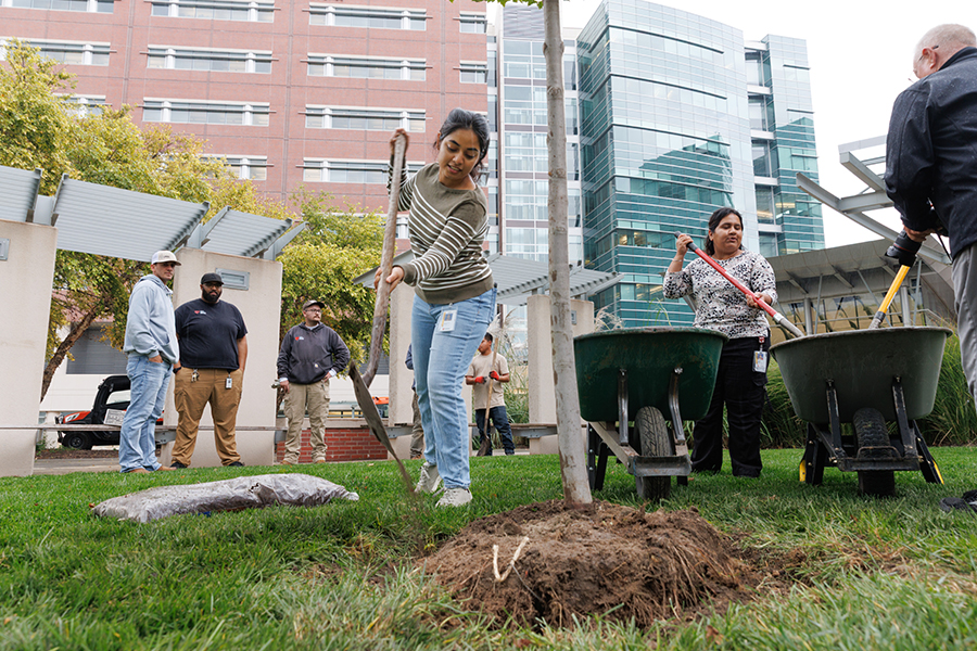Annual tree planting ceremony October 2025