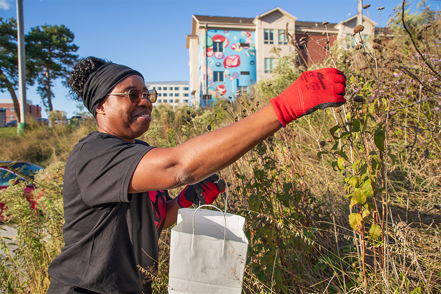 Monarch tagging event