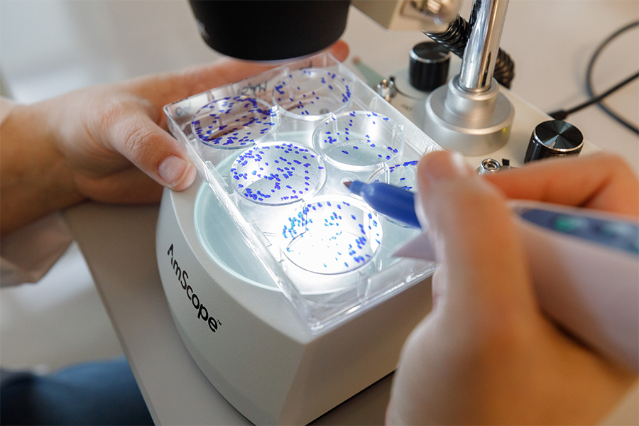 Hands holding a blue marker near lab equipment