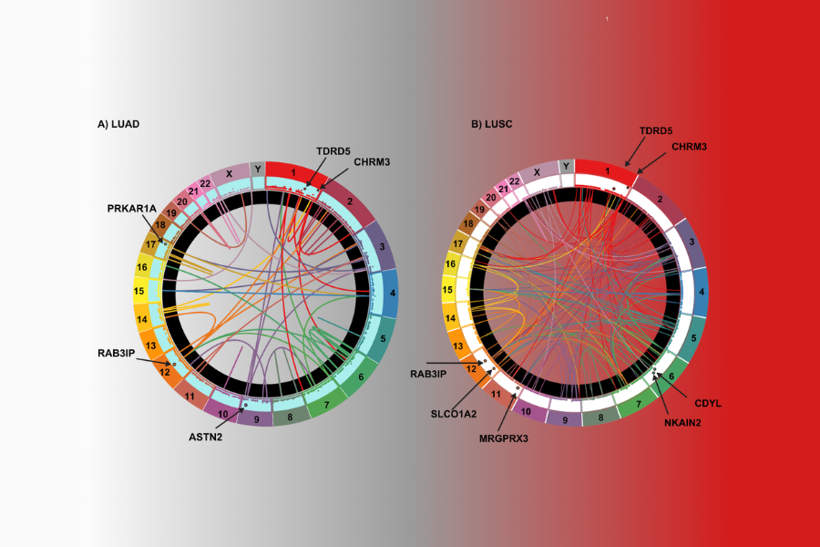 Data displayed on the computer