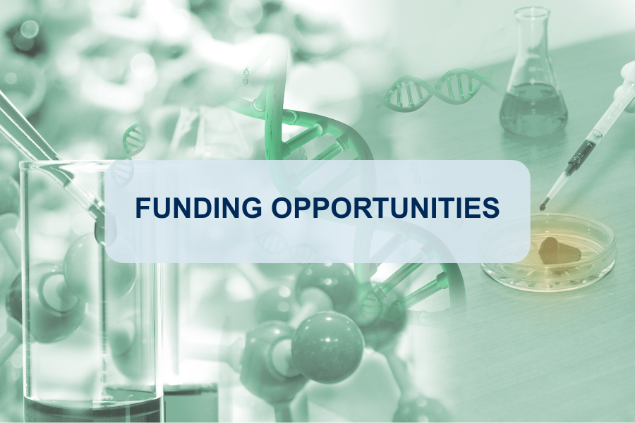 Explore funding opportunities