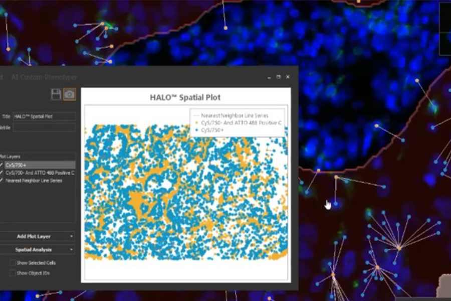 Image from halo spatial plot