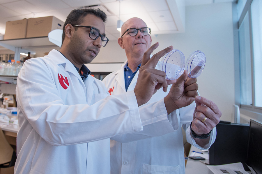 Two researchers in white coats look at a petri dish