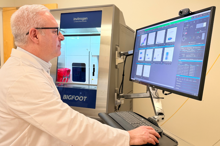 Researcher on computer in laboratory.