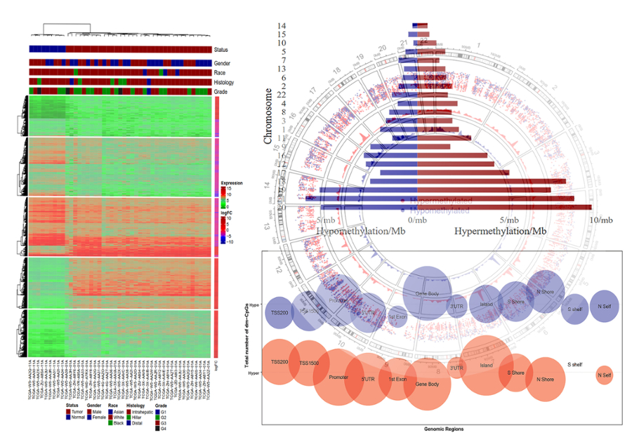 Epigenetic regulation of pancreatic cancer