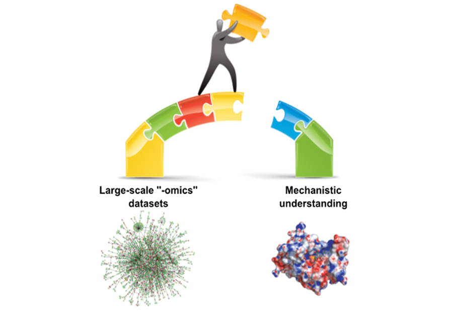 Multi-omics data in understanding diseases