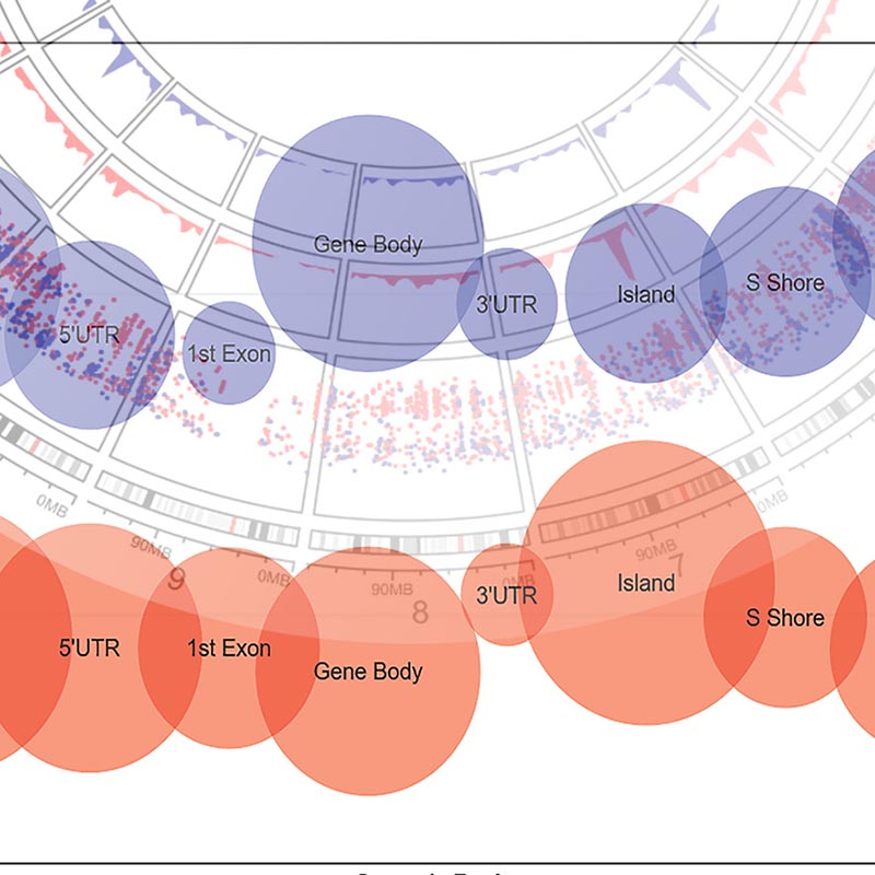 Decorative image of research work