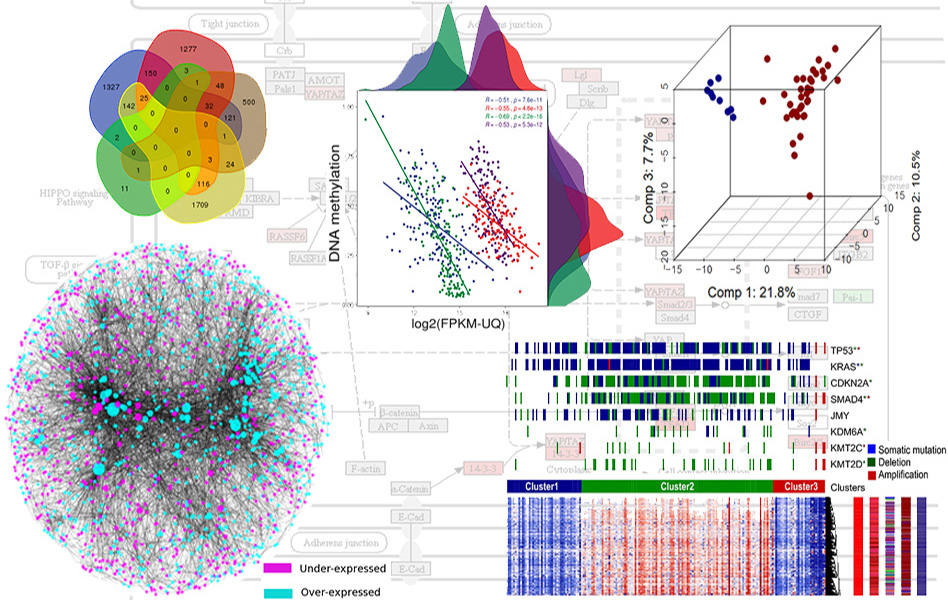 Decorative image of research work