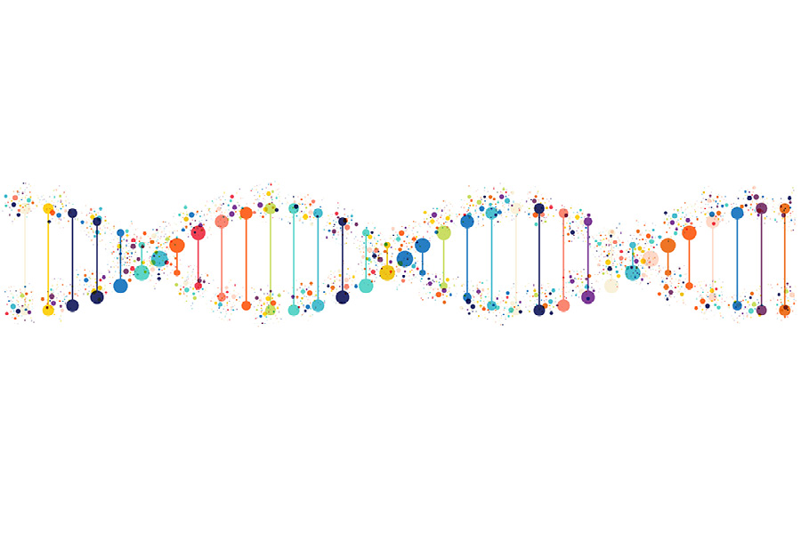 Monogenic Diabetes: Precision Diabetes Medicine in Practice