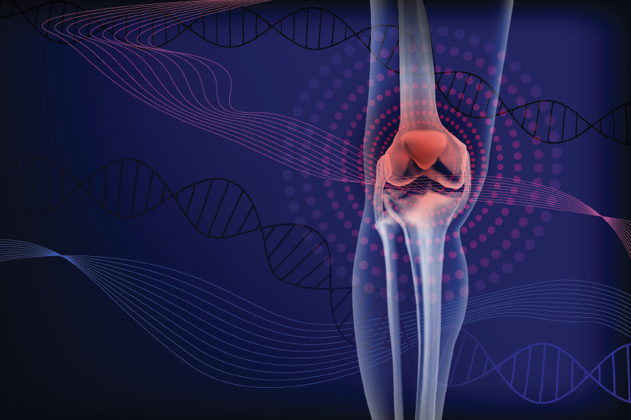 2026 Updates in Rheumatology