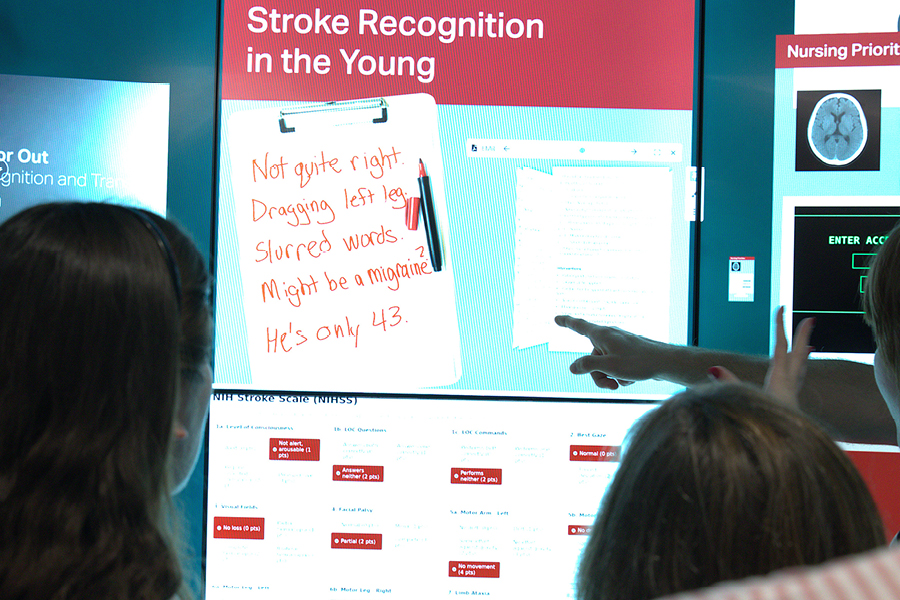 Future of Stroke Care: Balancing Innovation, Access, and Sustainability