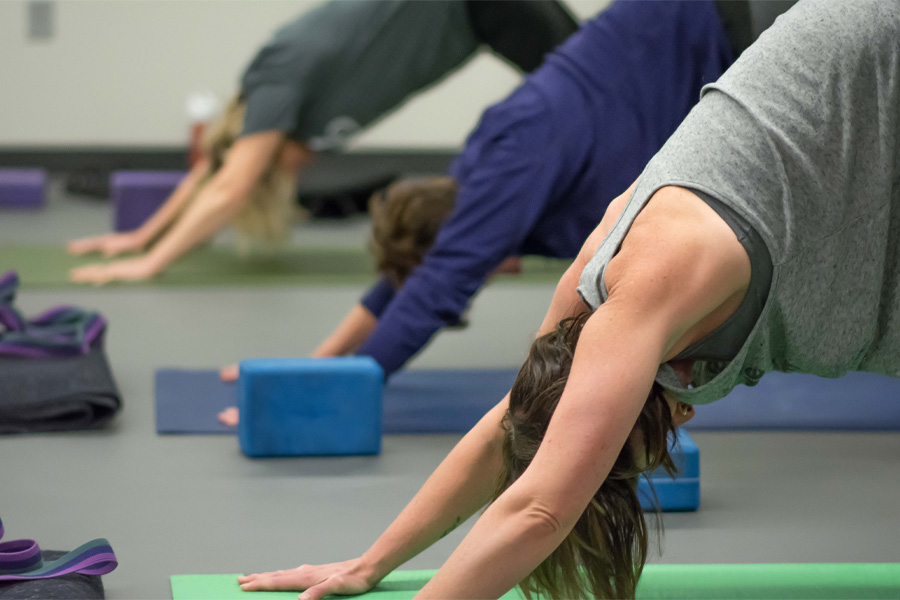 Members in the downward dog position participate in a yoga class