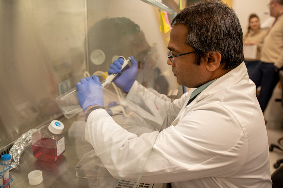 people looking at slide in laboratory