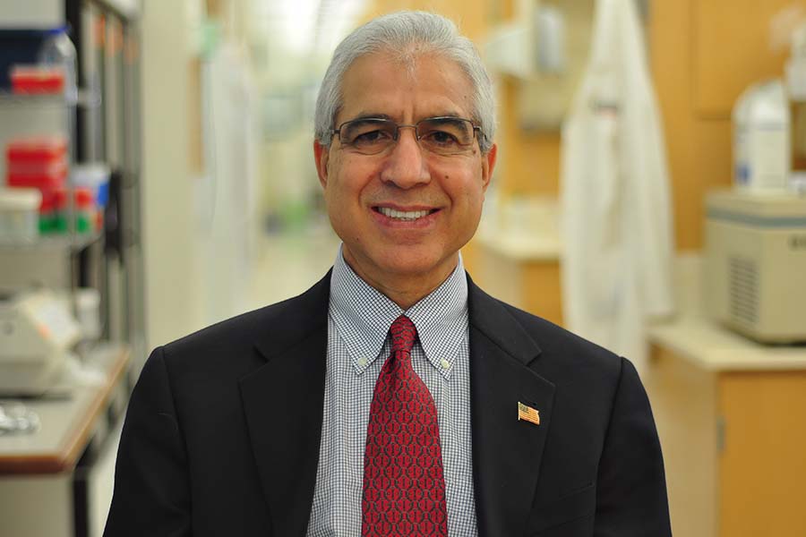 Hamid Band Director of the Center for Breast Cancer Research, Associate Director of Translational Research, Co-Program Leader of Molecular and Biochemical Etiology Program (MBEP) MD, PhD