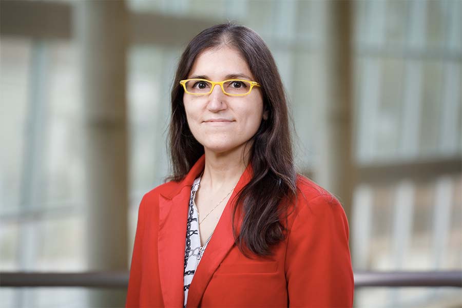 Headshot of Pooneh Bagher, PhD.