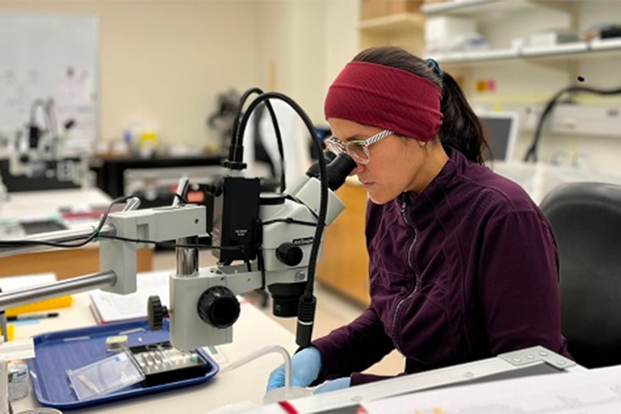 Photo of Pooneh Bagher looking through a microscope in a lab. 