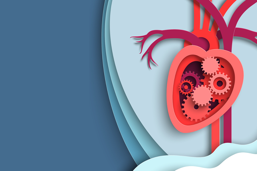 2025 State of the Heart: 3rd Annual Heart and Vascular Conference