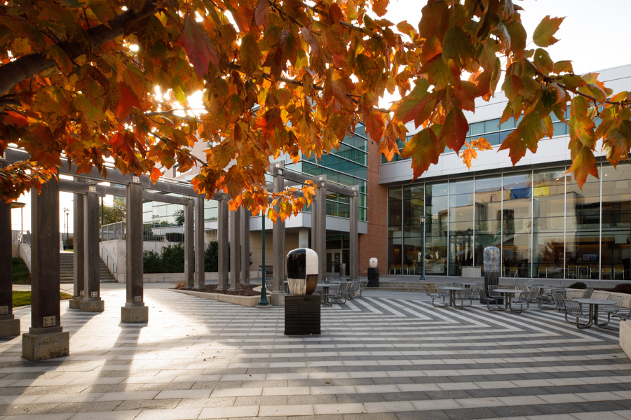 A plaza surrounded by fall trees