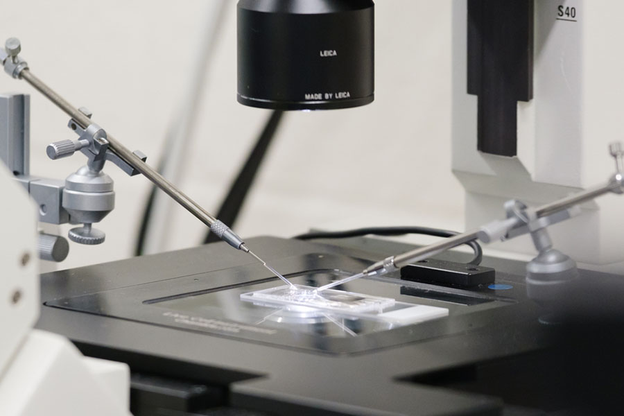 A UNMC researcher works with zygotes in a lab.