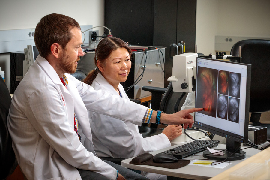Two physicians consult images on a computer screen