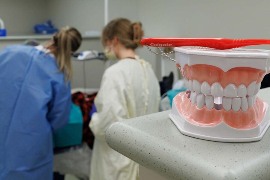 A model of a set of teeth sits in the foreground while faculty and students provide patient care.