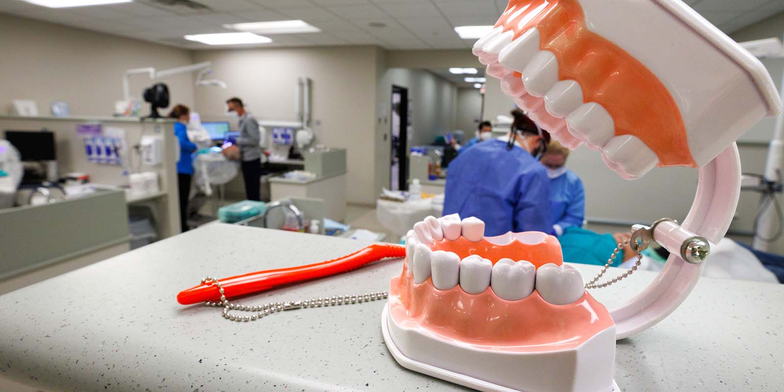 DDS-MBA Dual Degree Program