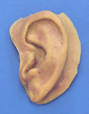 artificial ear