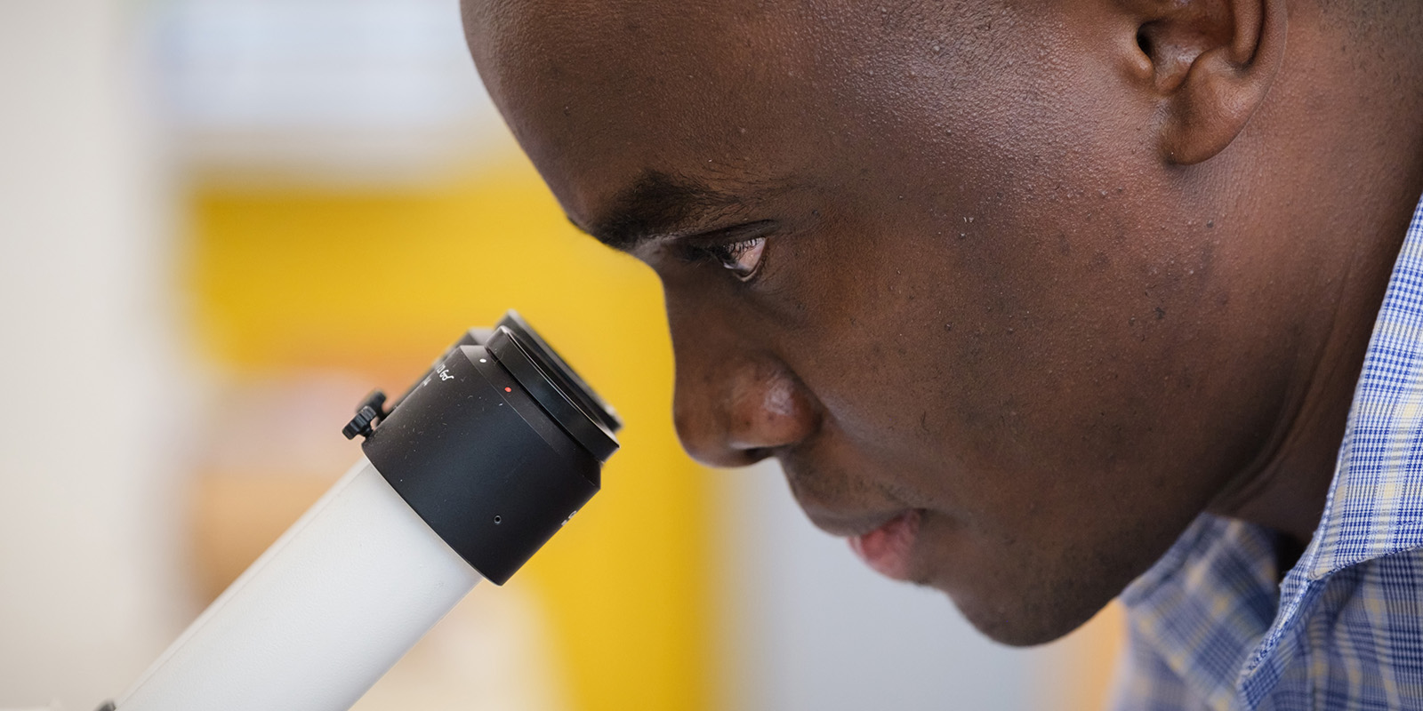 Researcher looking through a microscope