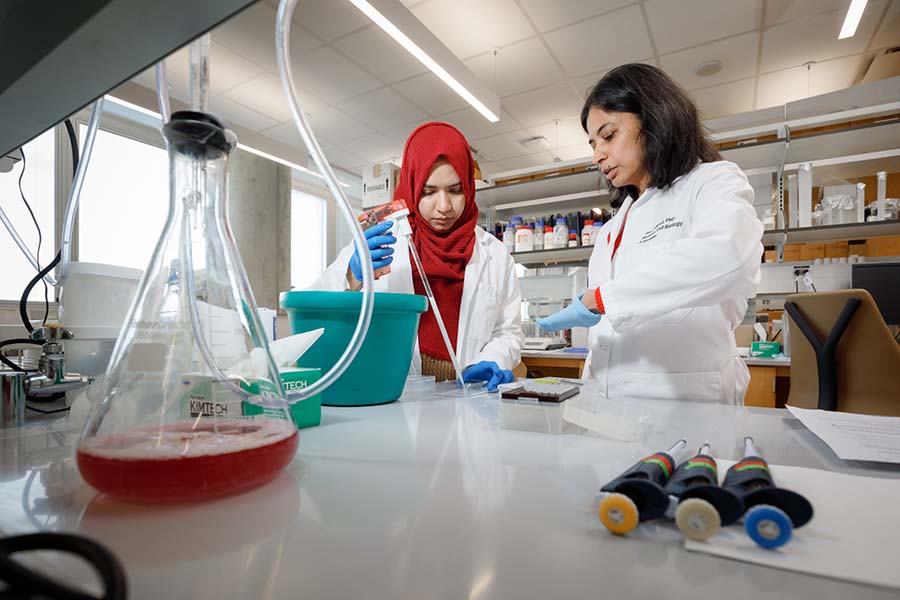 Two lab staff members work with chemicals in a lab.