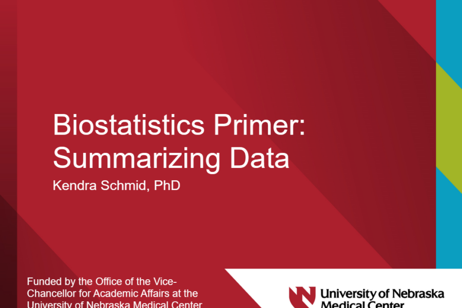 Summarizing Data title page