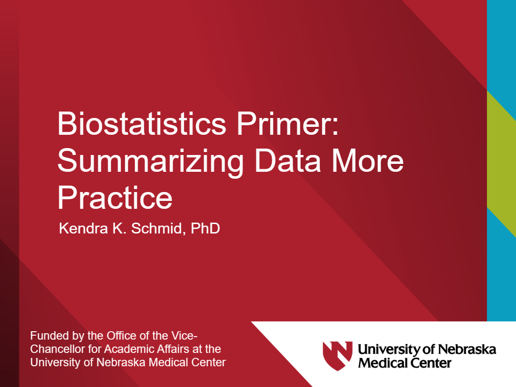 Summarizing Data title page