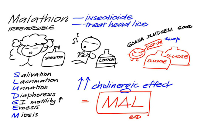 JoVE Science Education > Drugs Acting on Autonomic Nervous System:  Adrenergic Agonists and Antagonists Agents