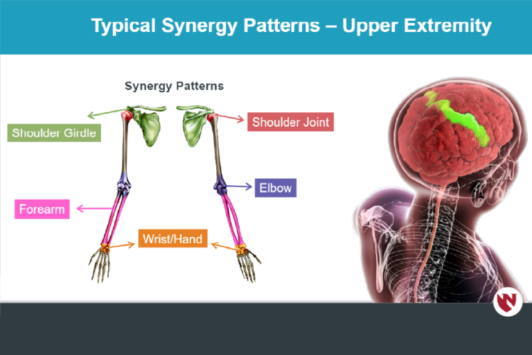 Sensorimotor Examination of a Neurologically Involved Patient E