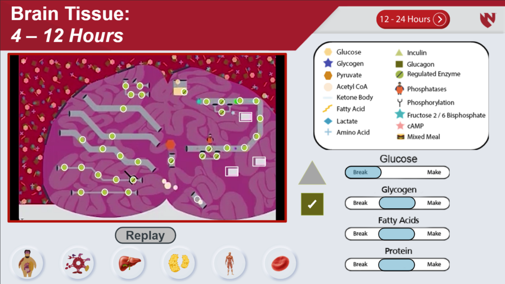 Metabolism Integration | E-Gallery | University of Nebraska Medical Center