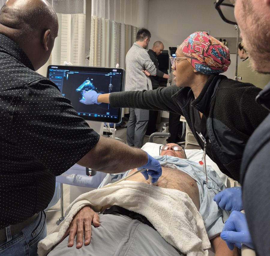 Ultrasound practice, pointing out the image