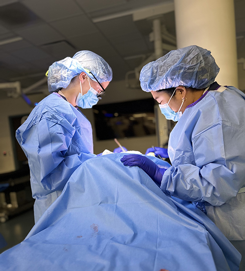 Otolaryngology residents look at portions of skulls during a training session.