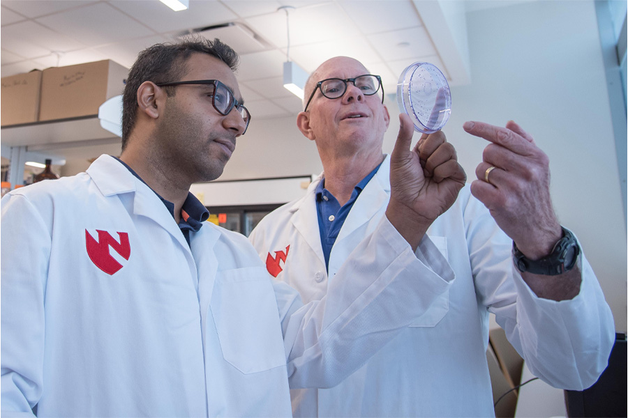 Two men in white lab coats observe specimens in a petri dish.